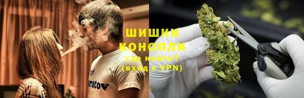 spice Богданович