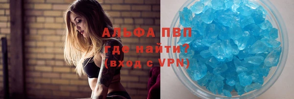 СК Богородицк