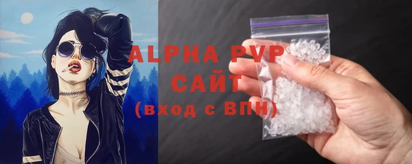 spice Богданович