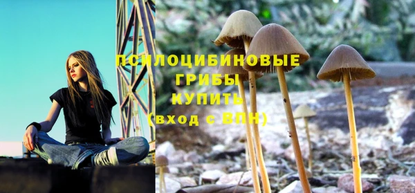 экстази Богородск