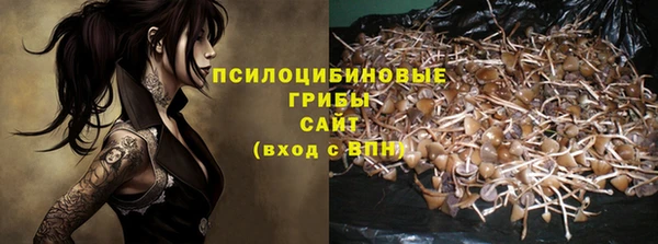 экстази Богородск