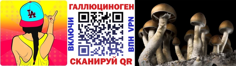 купить наркоту  Новый Уренгой  Галлюциногенные грибы ЛСД 